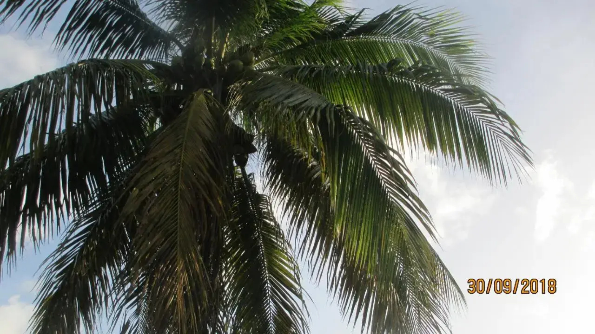Tropical Breeze Guest House