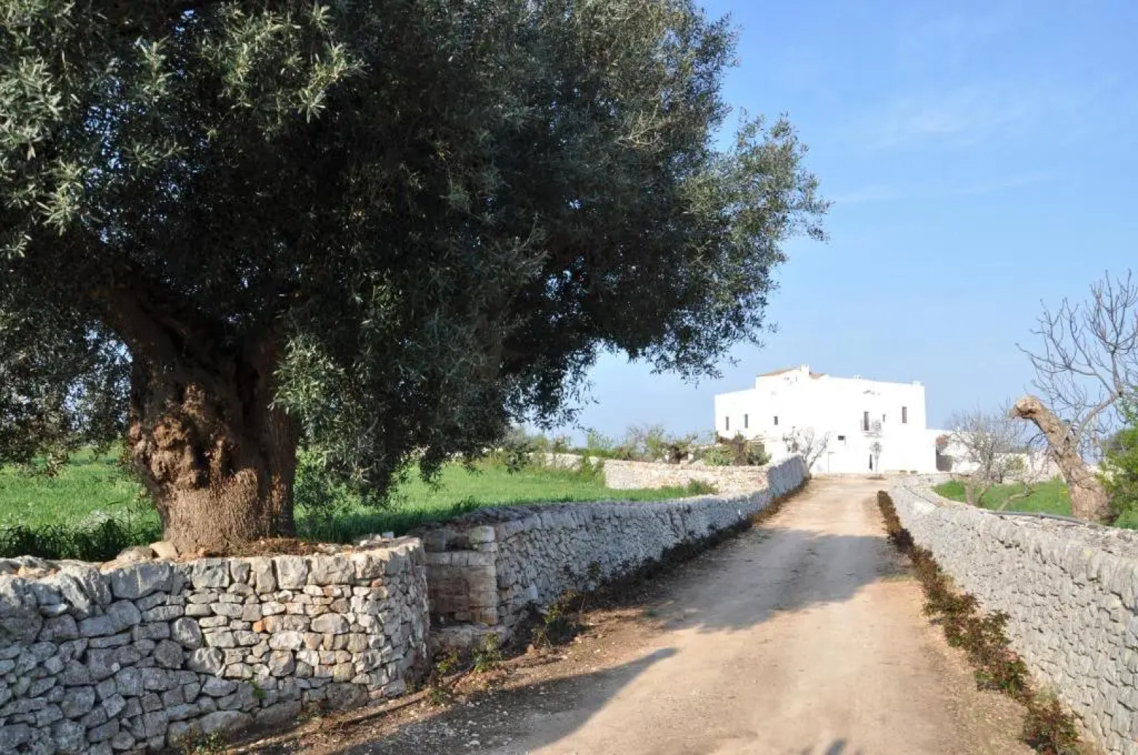 Masseria Scinarello