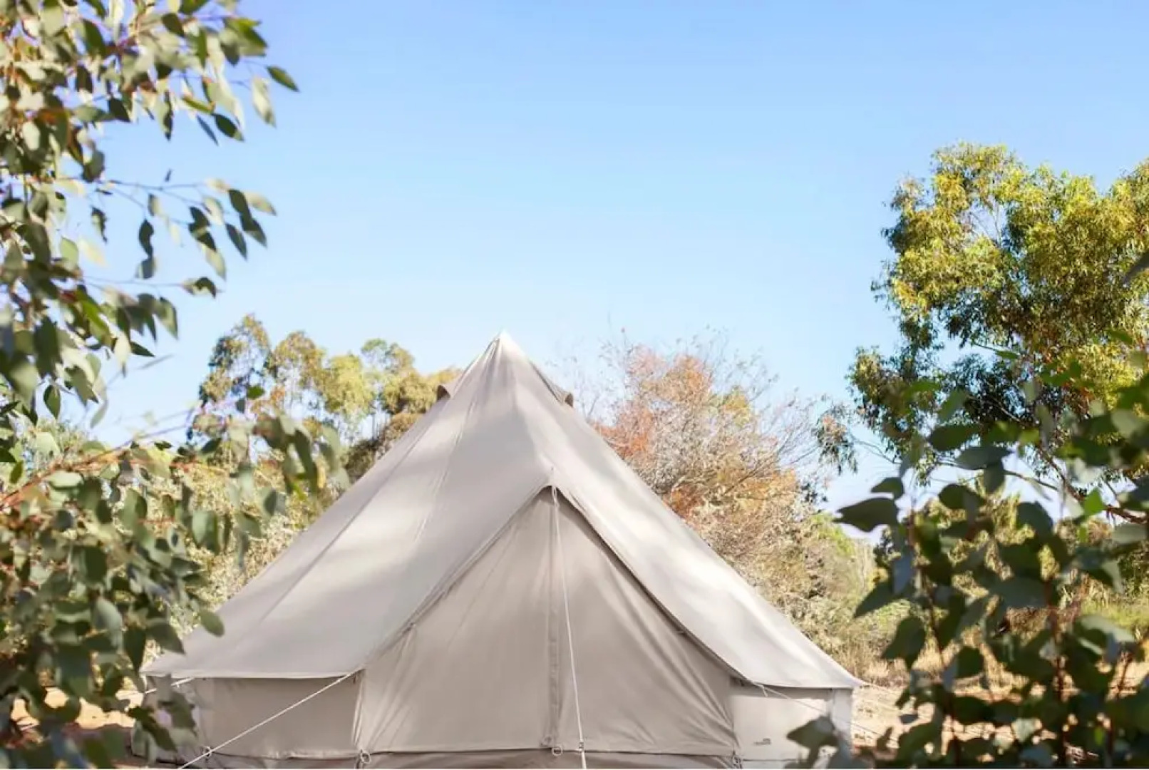 Goldfield Glamping