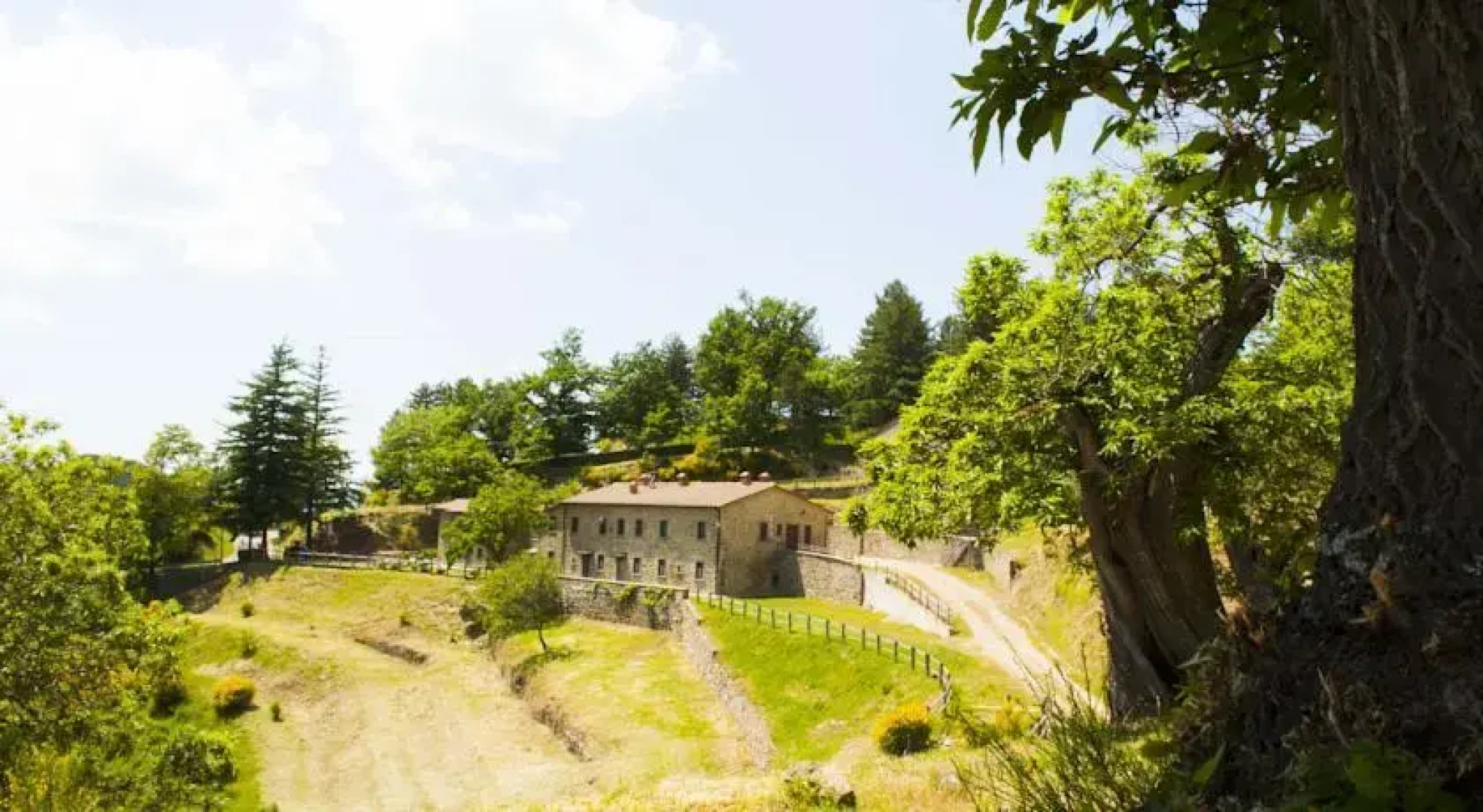 Le Selve di Vallolmo