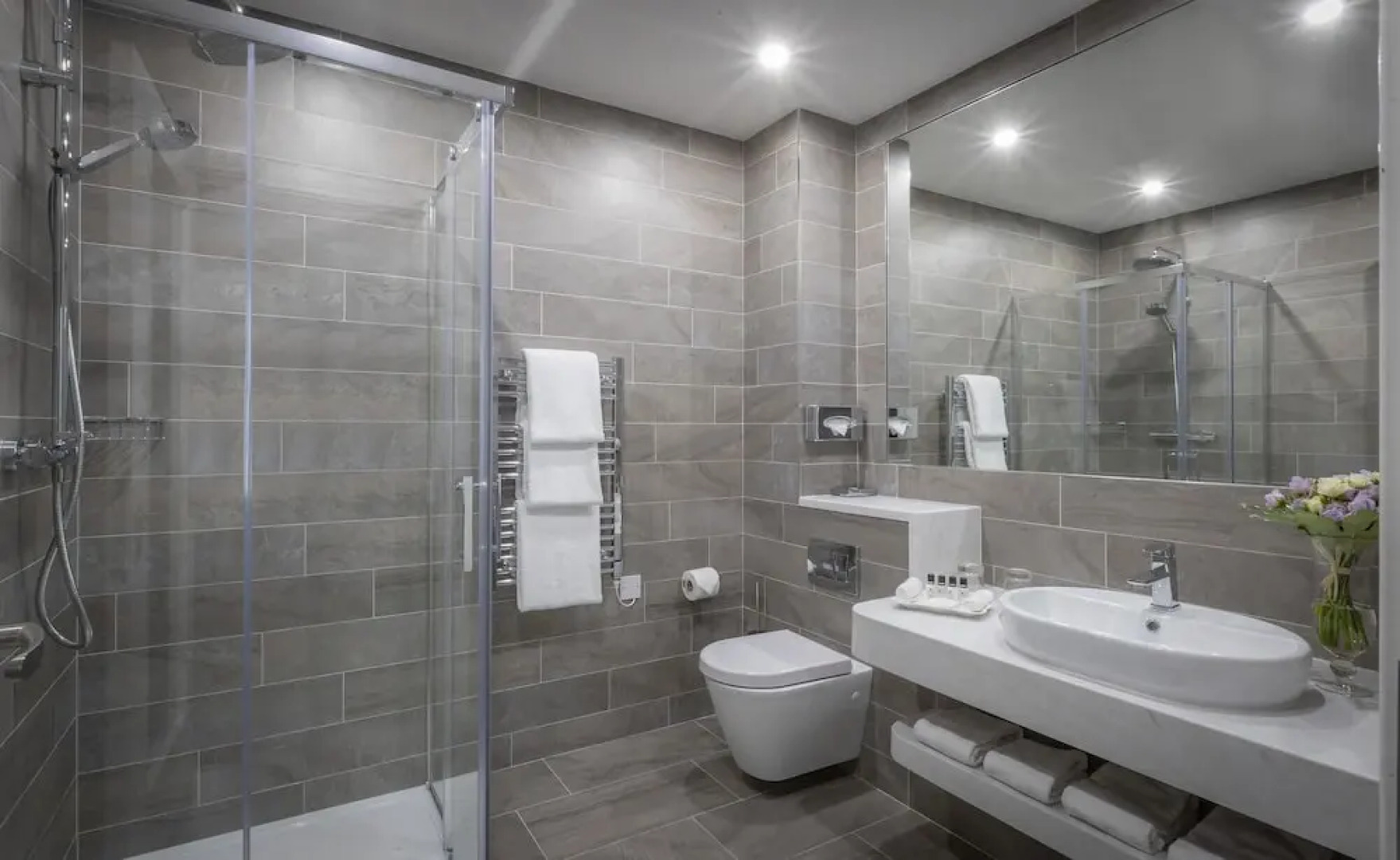 Castletroy Park Hotel Suites