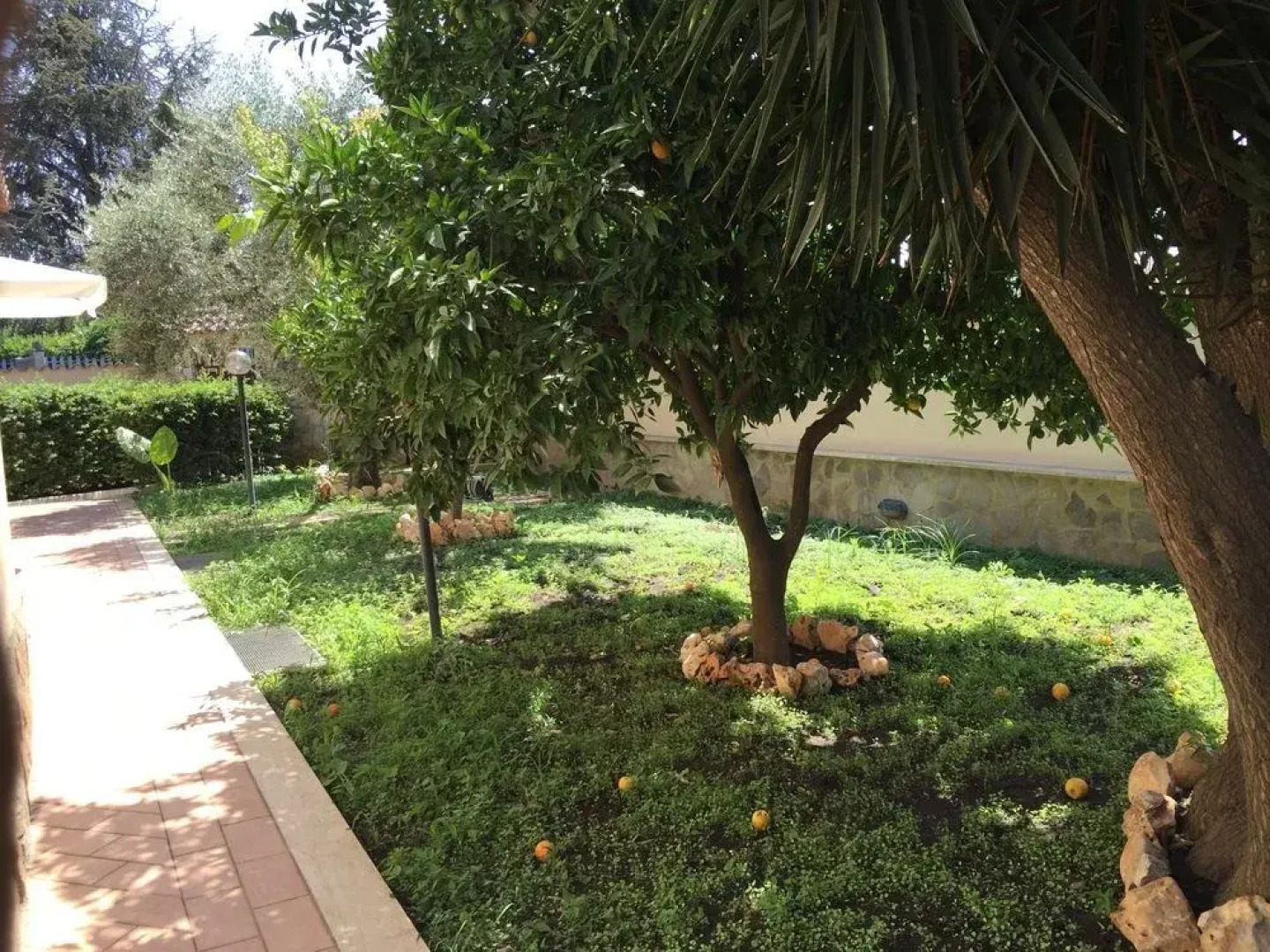 Romana Bed & Breakfast