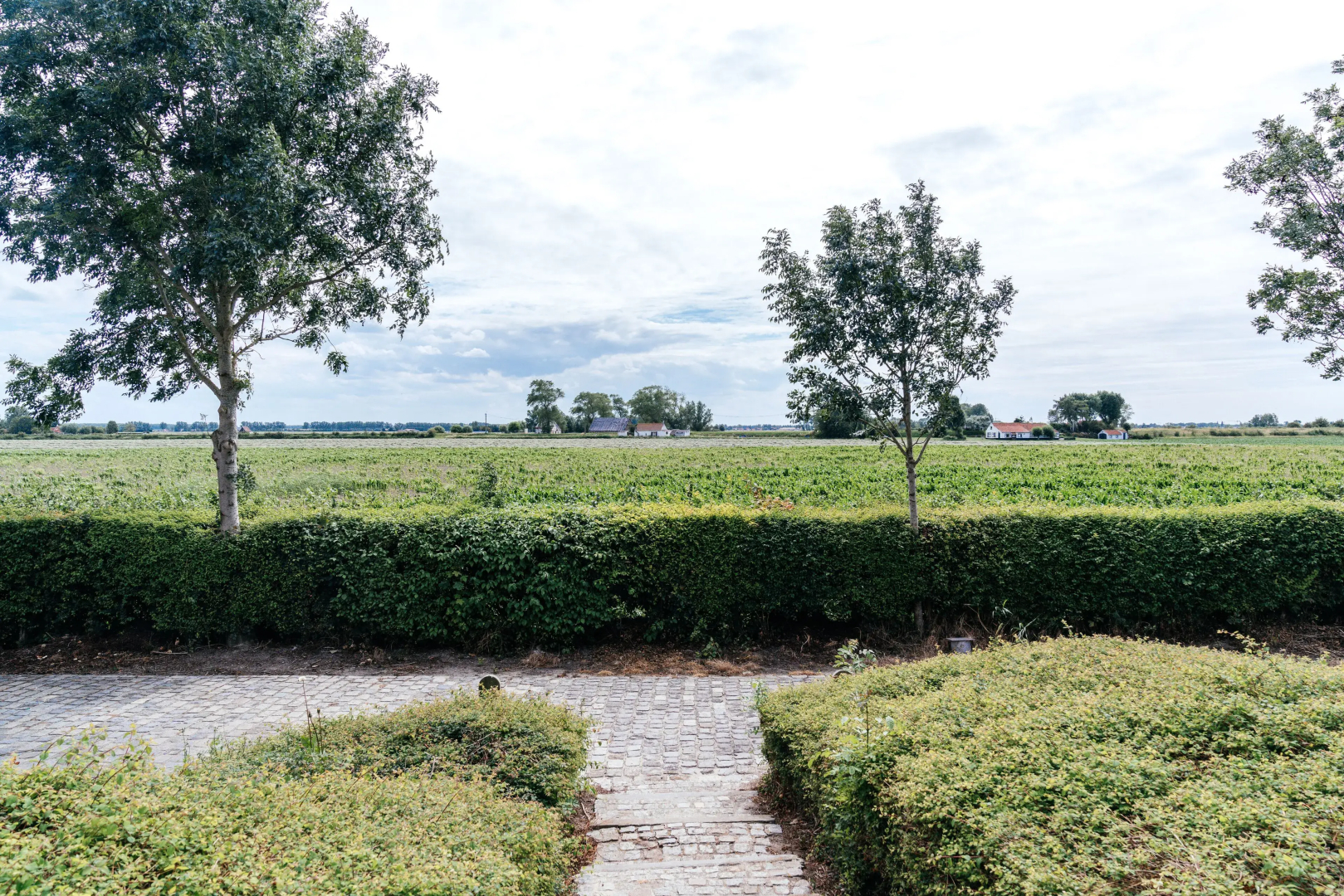 Hoeve Hazegras