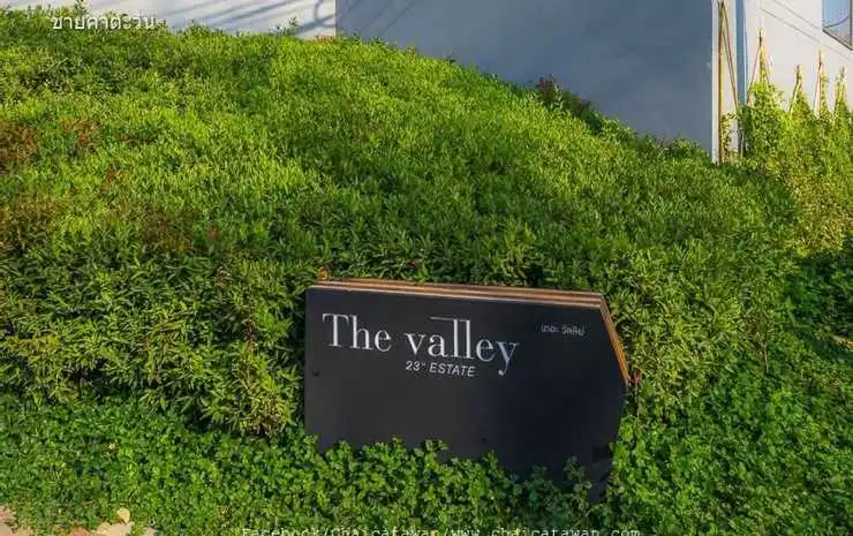 The Valley Khao Yai National Park