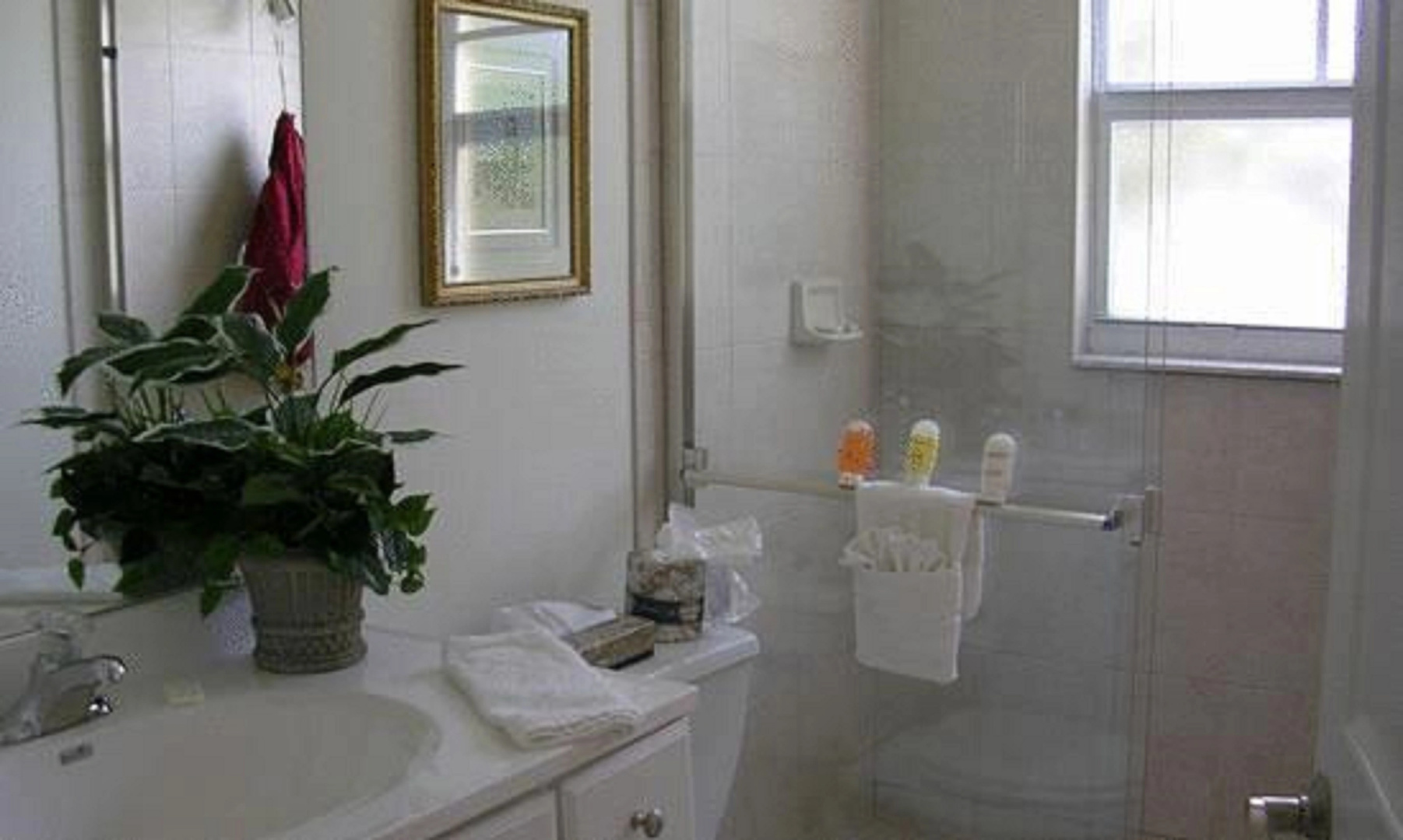 Barefoot Beach Resort