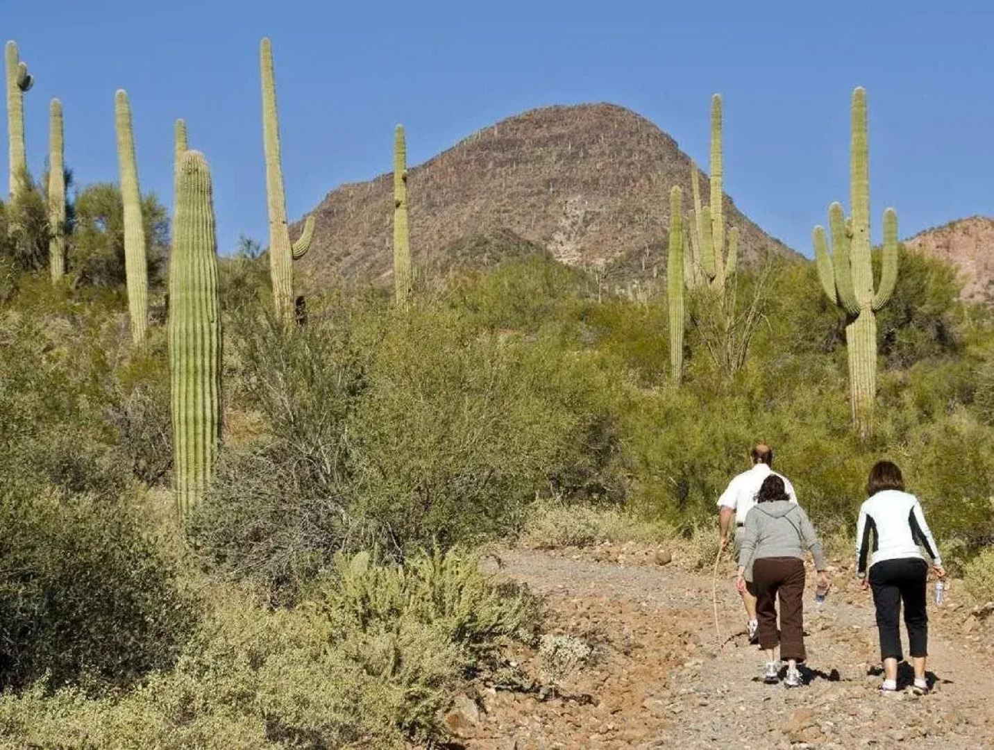 Hampton Inn & Suites Phoenix/Scottsdale on Shea Boulevard
