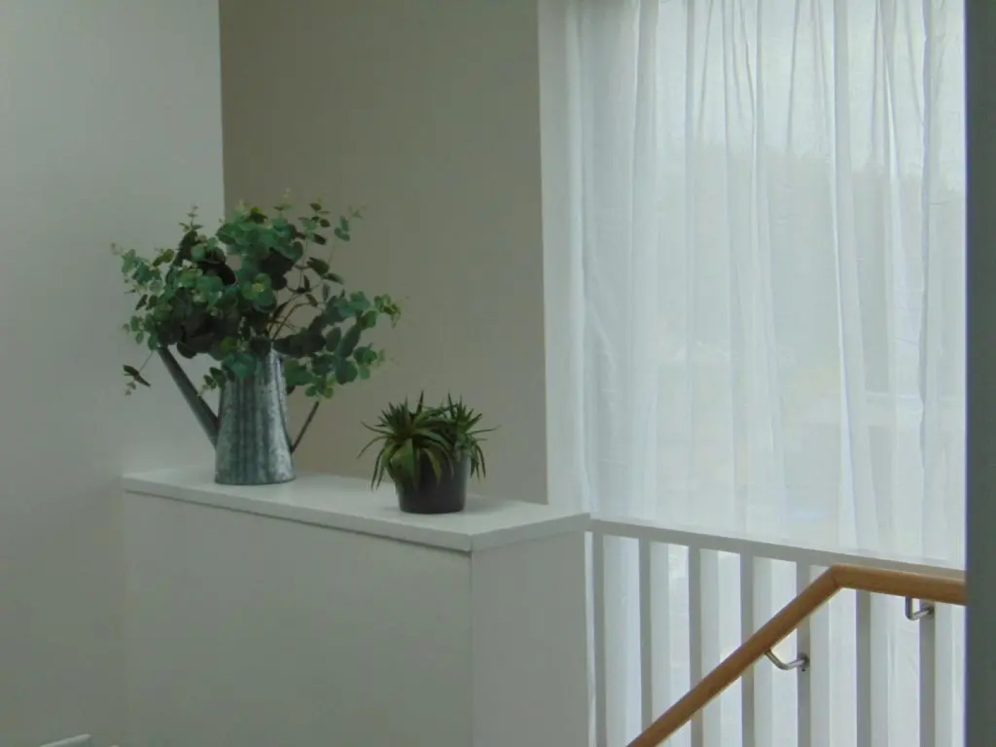 Driftwood, Donaghadee