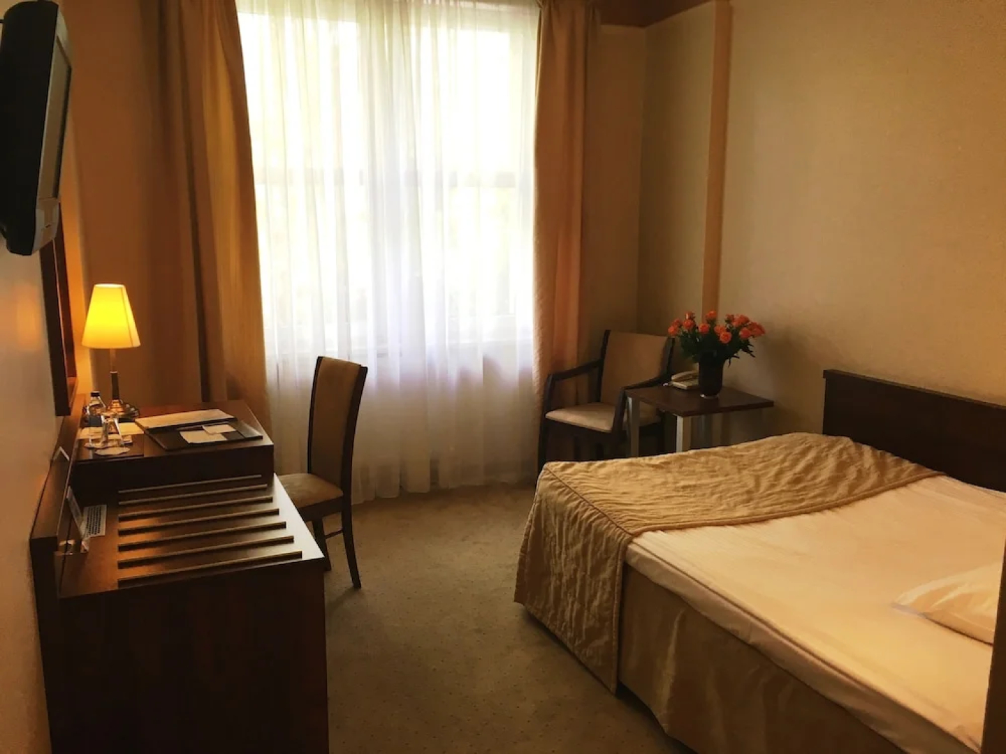 Papuga Park Hotel **** Spa & Wellness 4* Spa w górach Konferencje Bielsko Hotel Bielsko Marrakesz