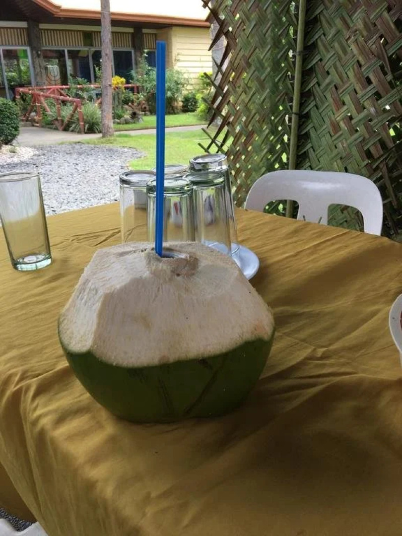 Zacona Eco-Resort and Biblical Garden