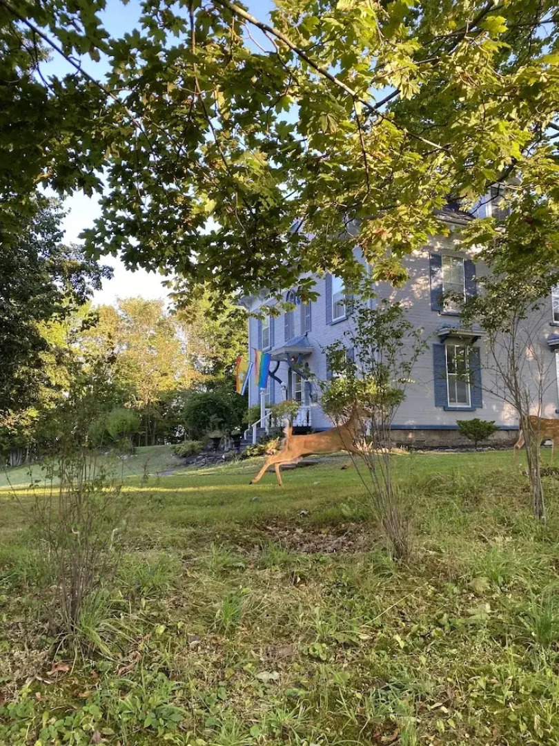 The Montague Rose Inn