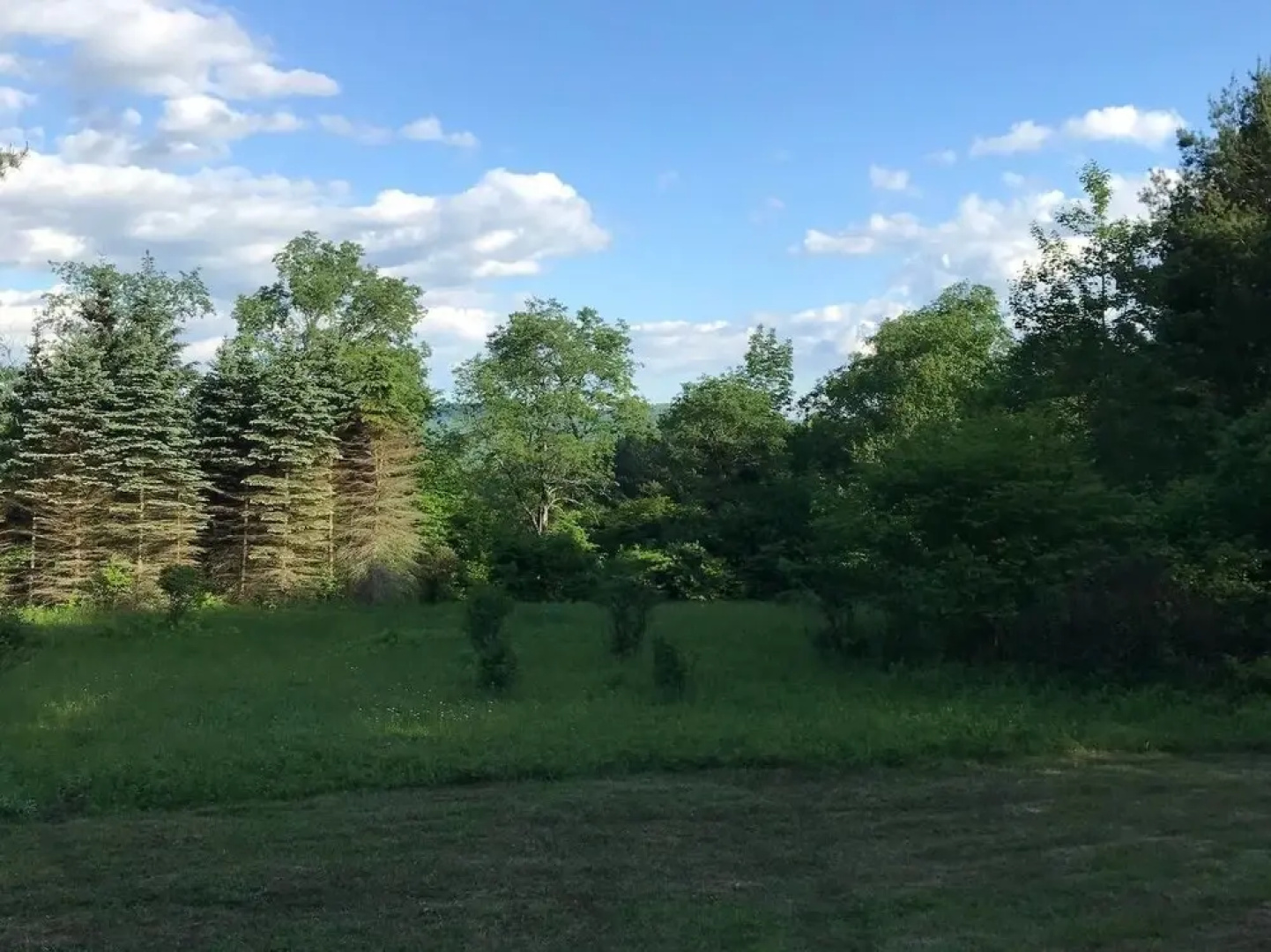 Tentrr - Middle Mountain Meadow - Campsite