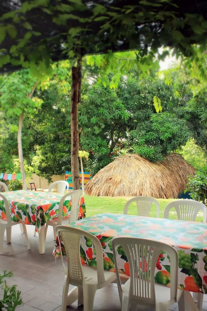 Color Hostel Palomino