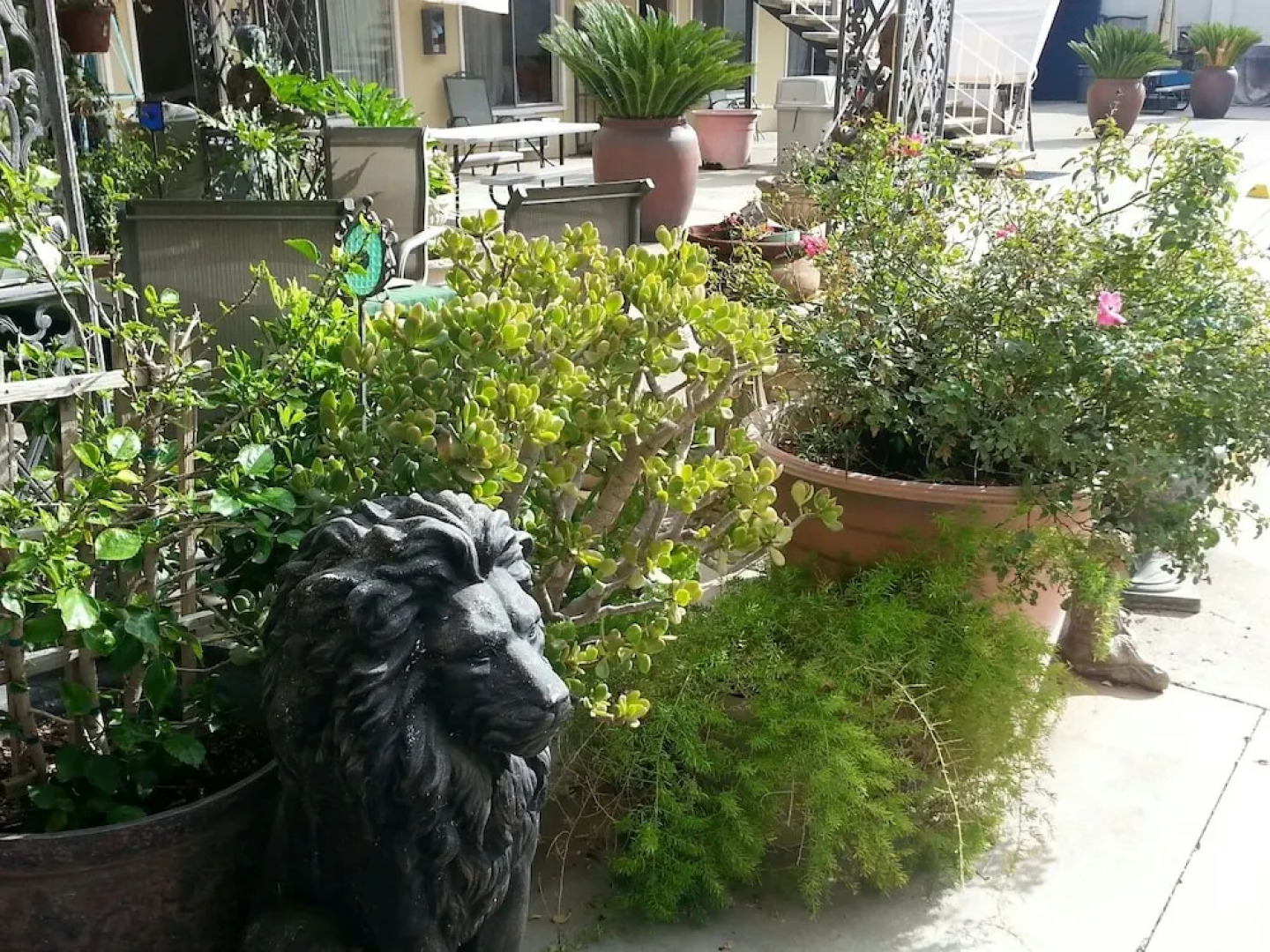 Colusa Riverside Inn