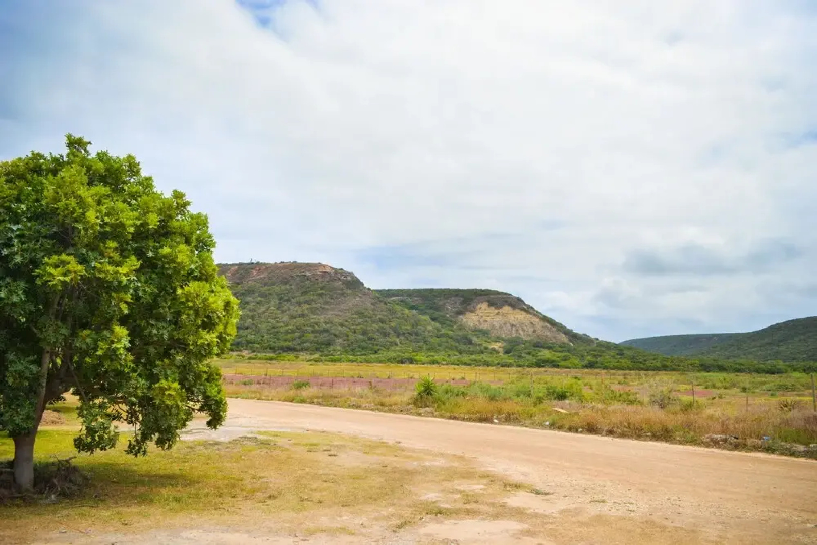 Addo Park View Ndlovu