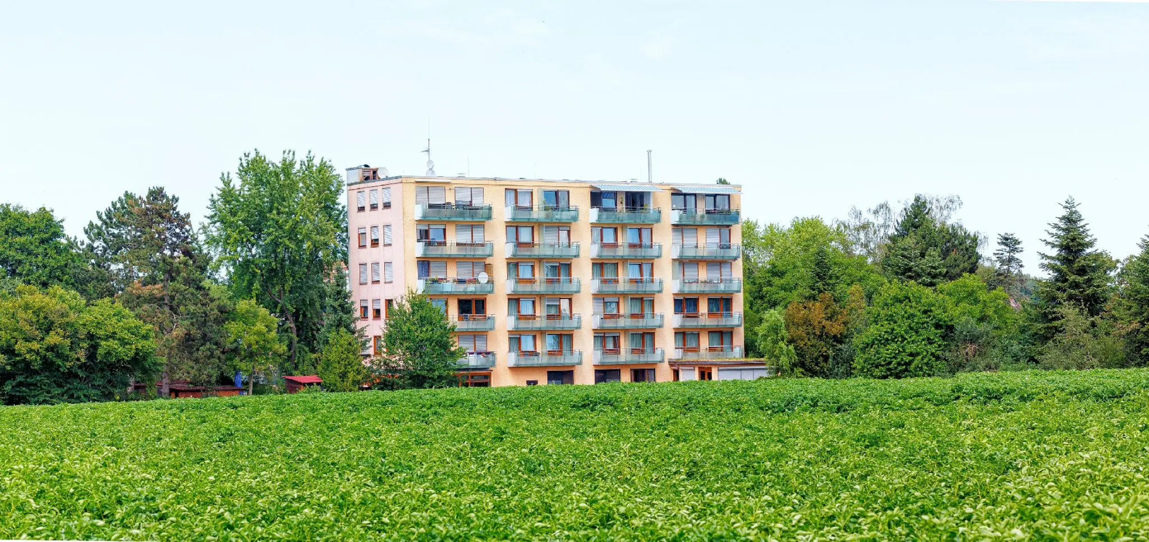 Kemnater Hof -APARTMENTS-