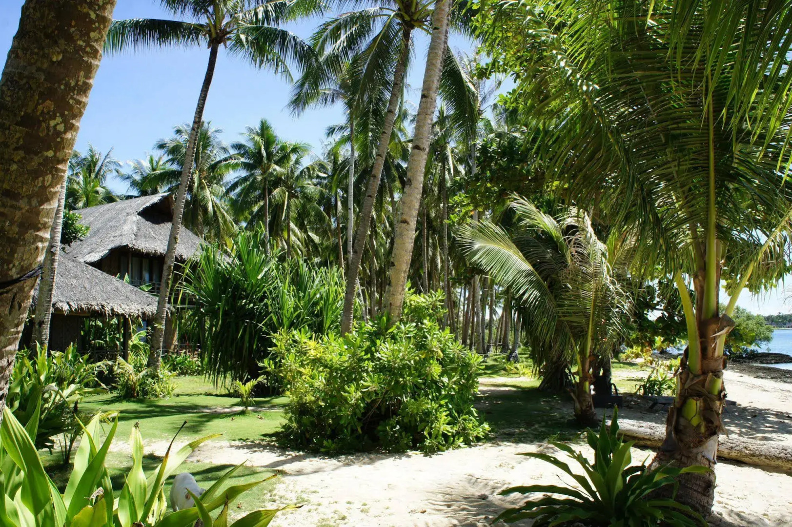Siargao Inn Beach Resort