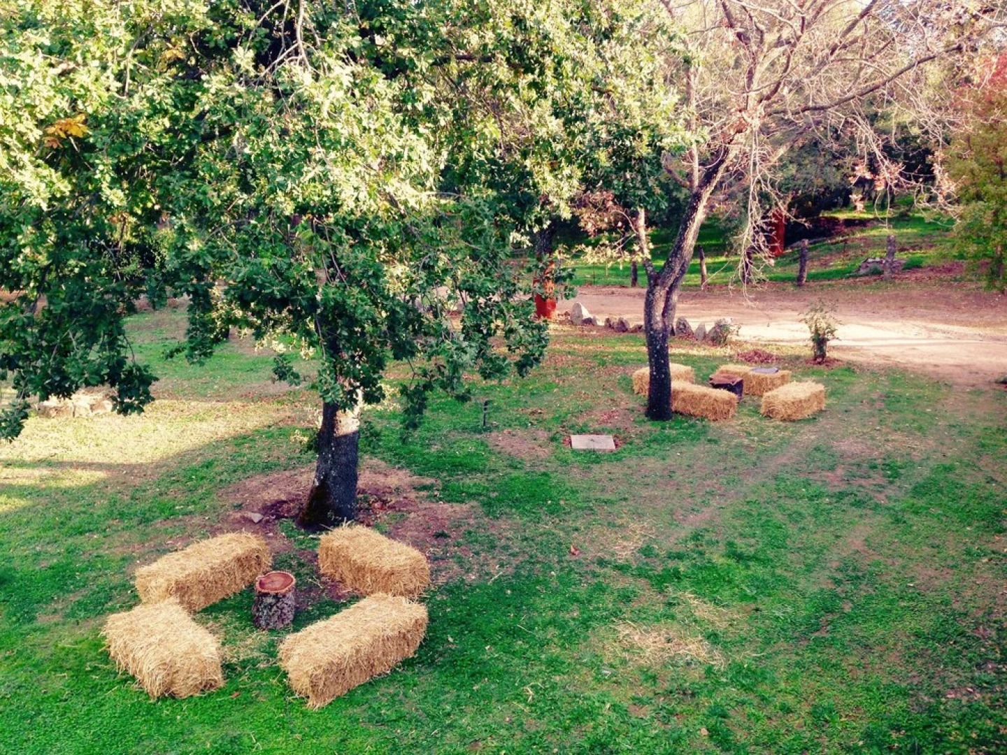 Agriturismo Pranu Cucina Naturale