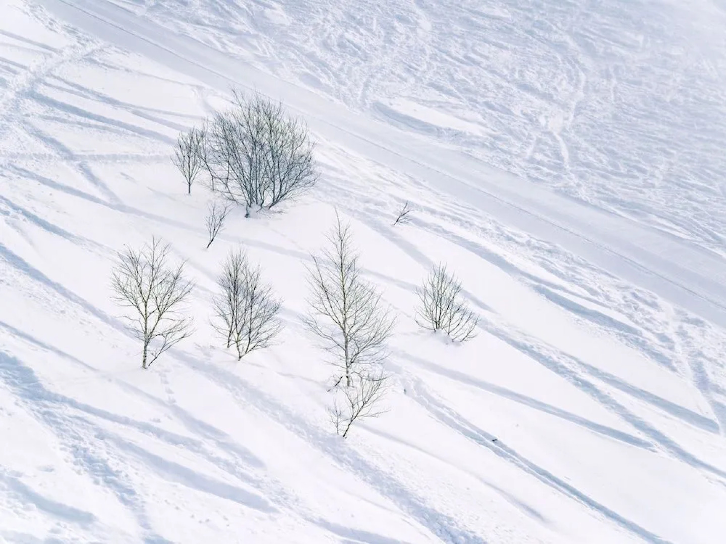 Yubari Hotel Shuparo