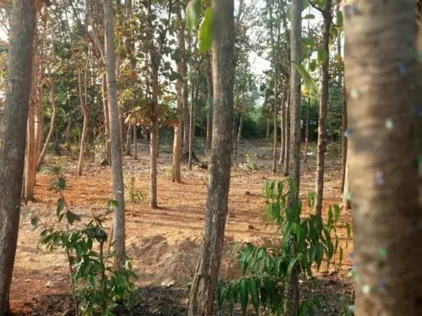 Vista Rooms at Venu Guest House