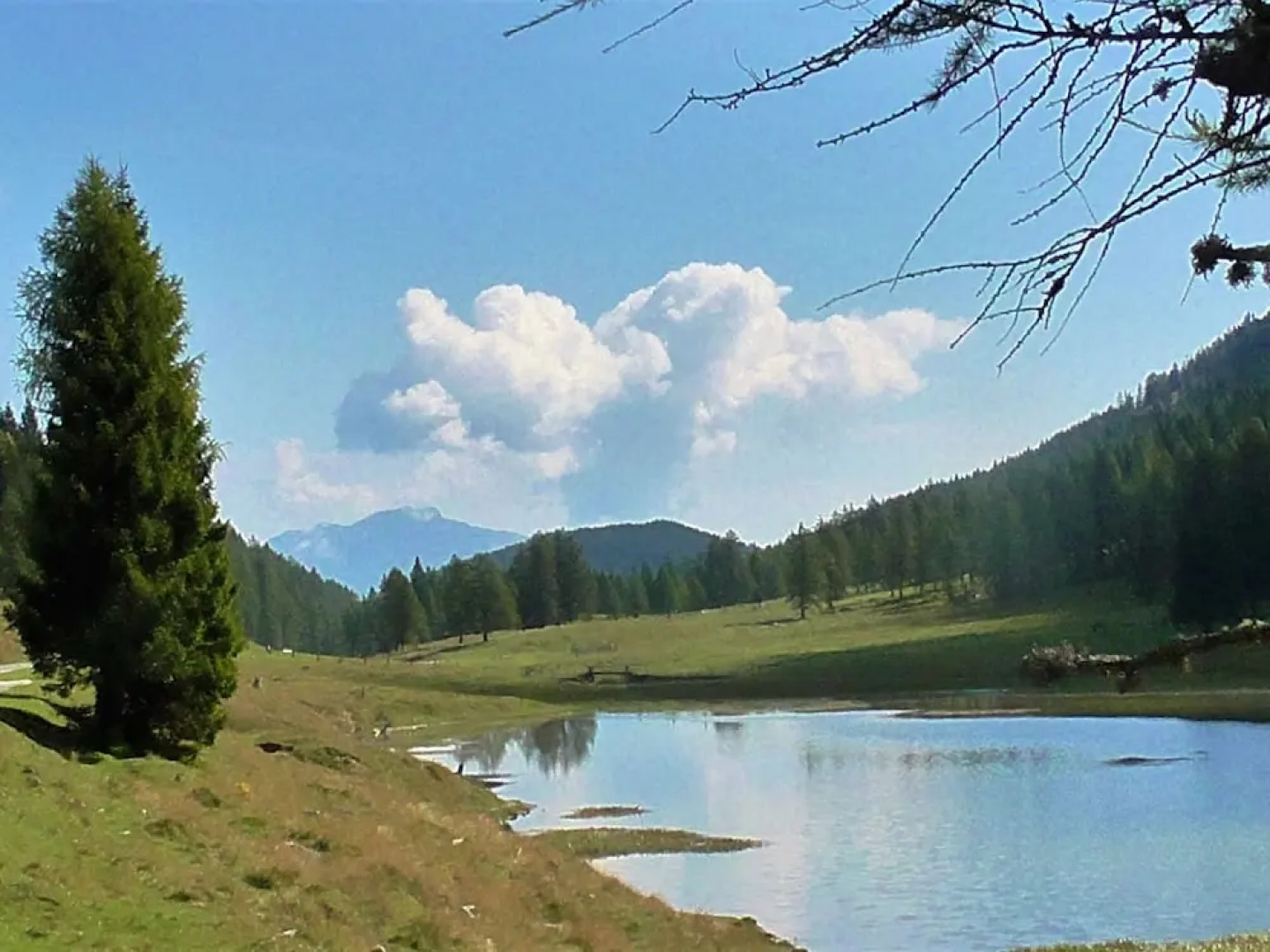 Apartment in a Wooded Area With Pool