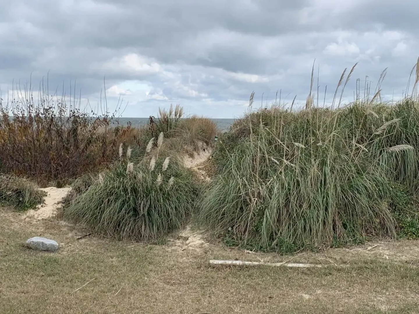 Sandy Dunes At The Beach - Beachfront, Wi-fi, Pets 3 Bedroom Home by RedAwning