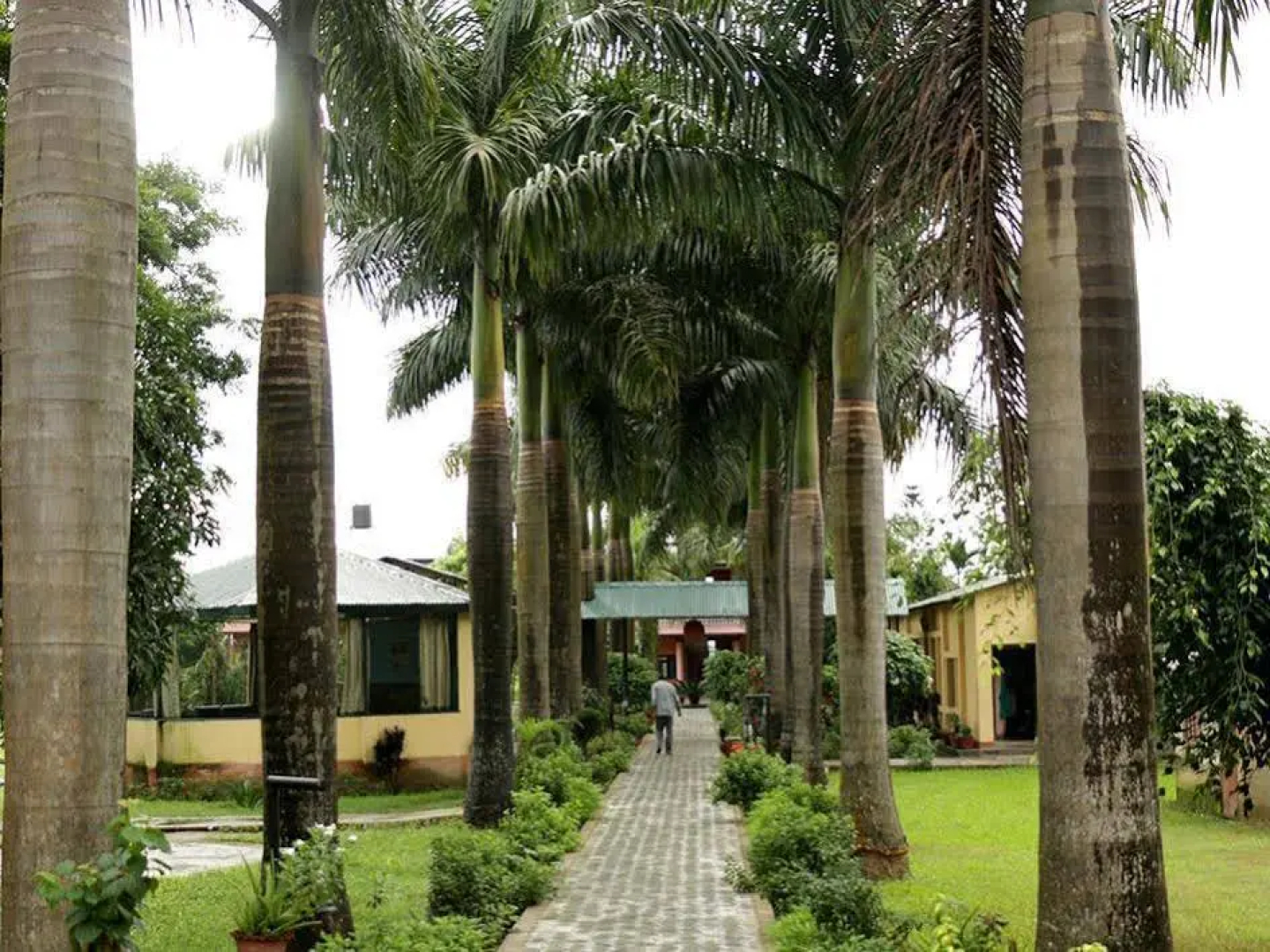 Royal Tiger Safari Resort