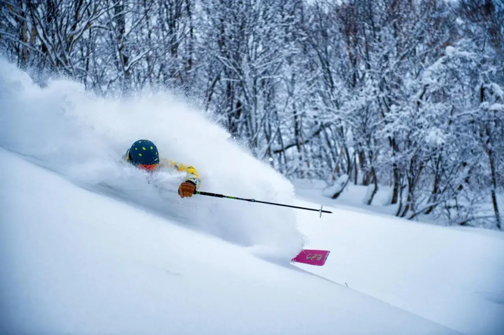 Yu Kiroro, Ski-in Ski-out Luxury Residences