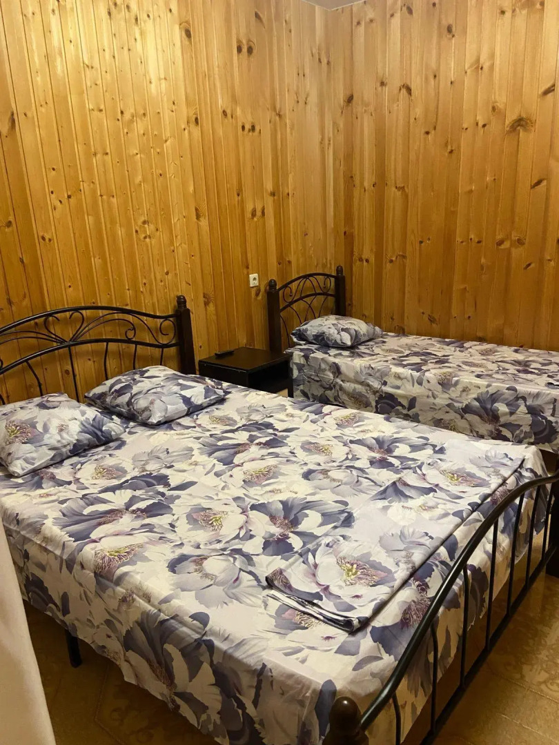 Светлана (Цандрыпш)