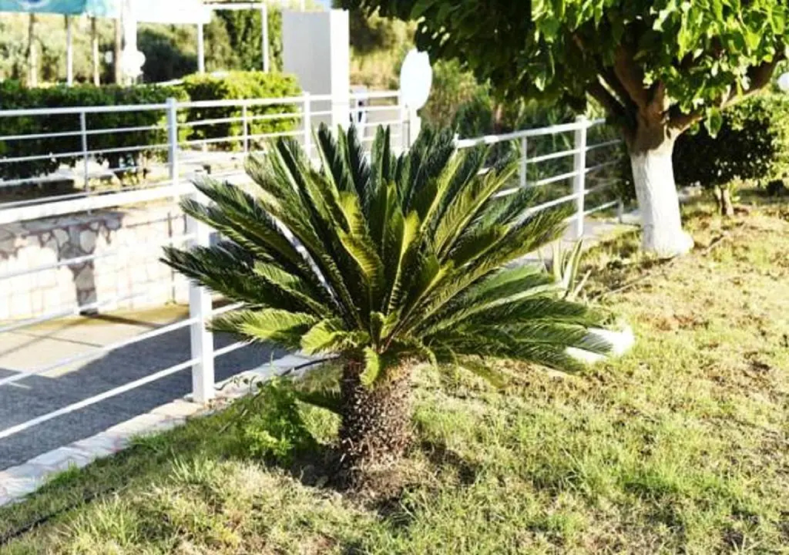 Andy's Gardens