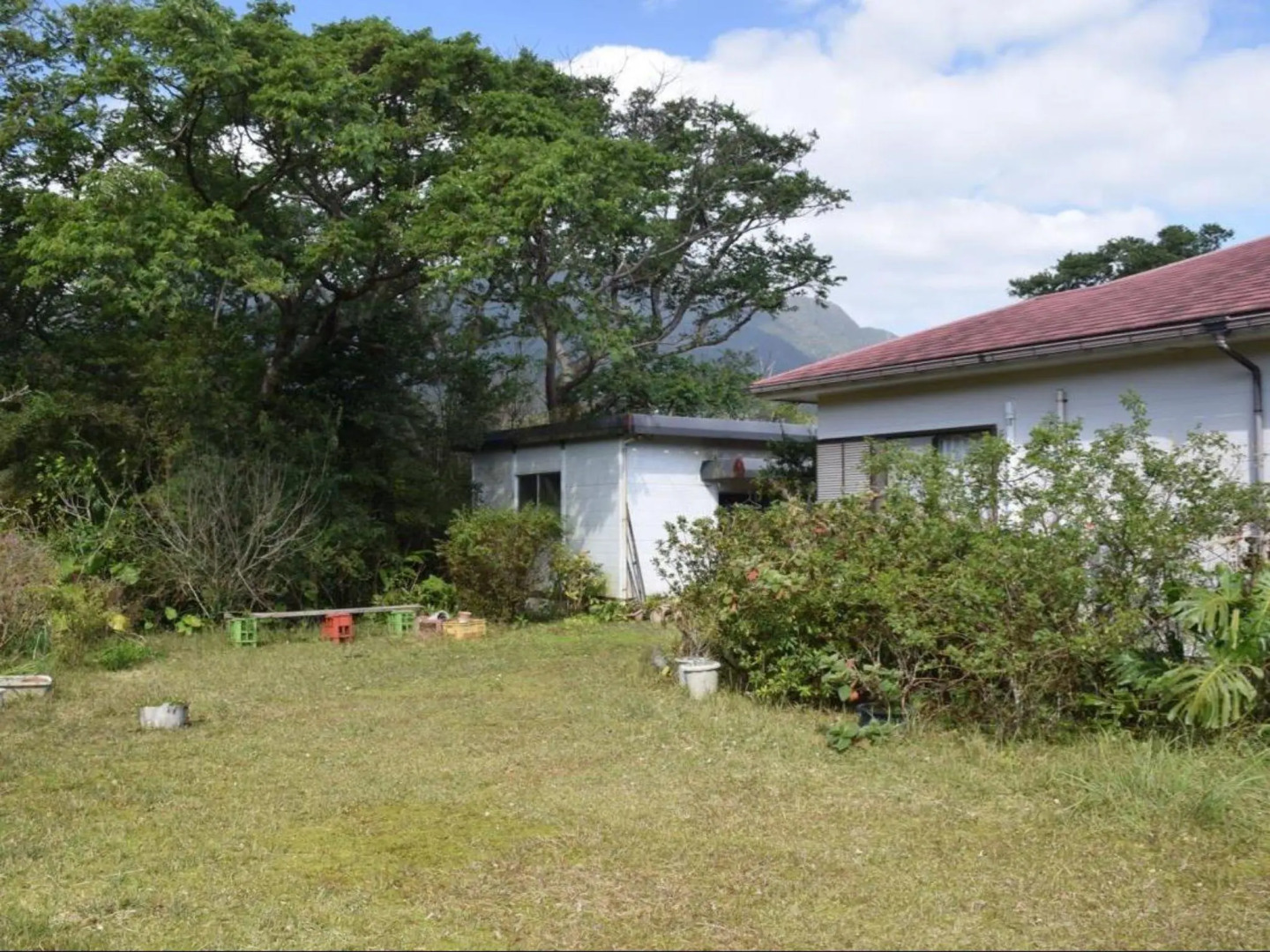 Yakushima Guesthouse Suginoko