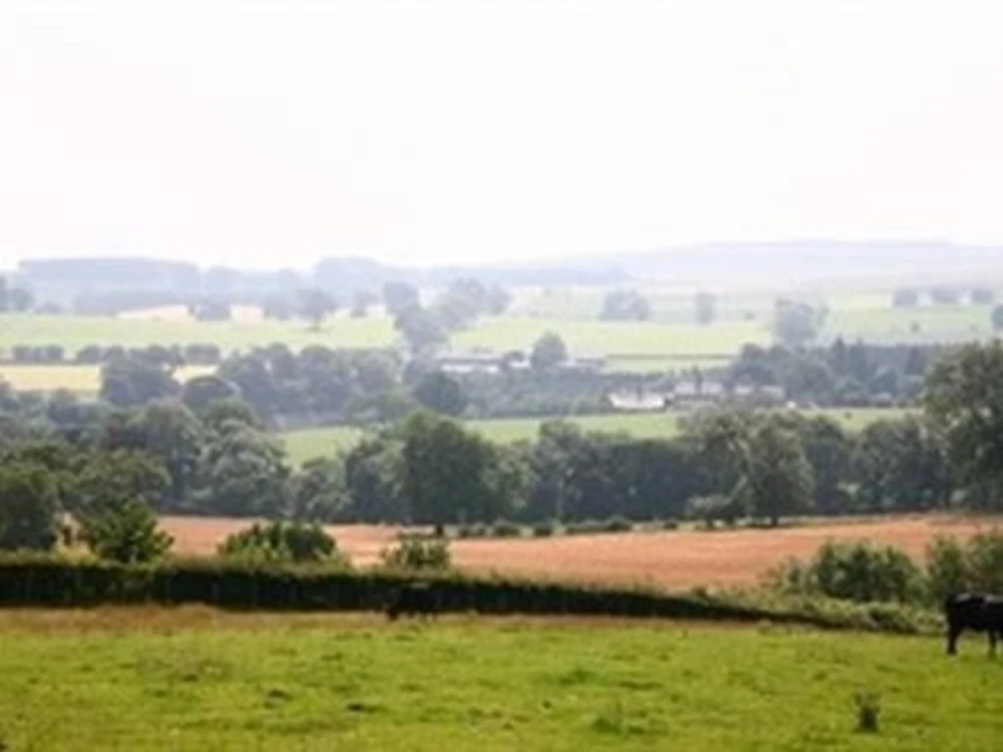 Hallbarns