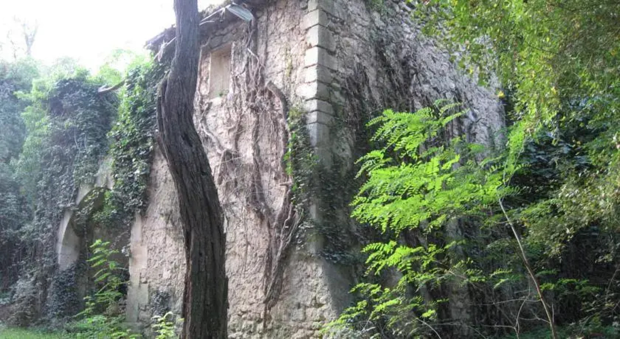 Commanderie des Taillades