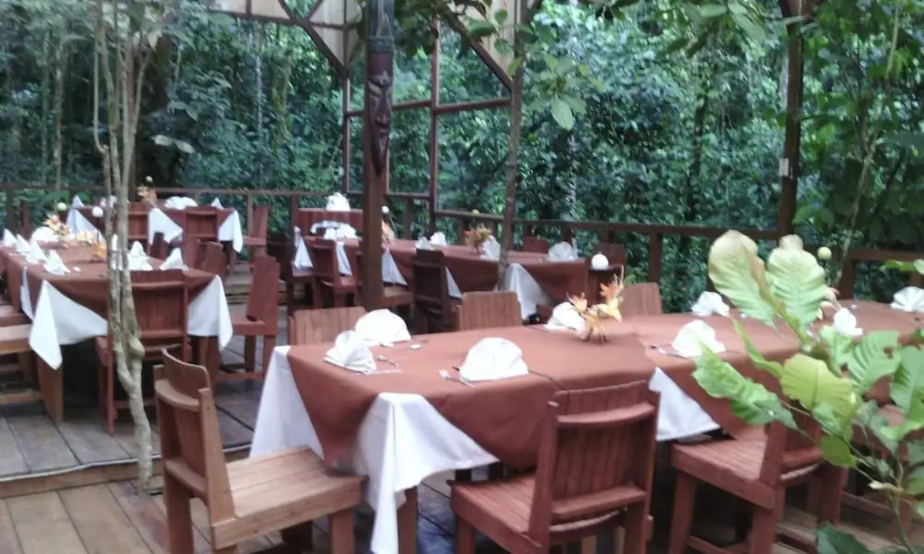 Wagelia Espino Blanco Lodge