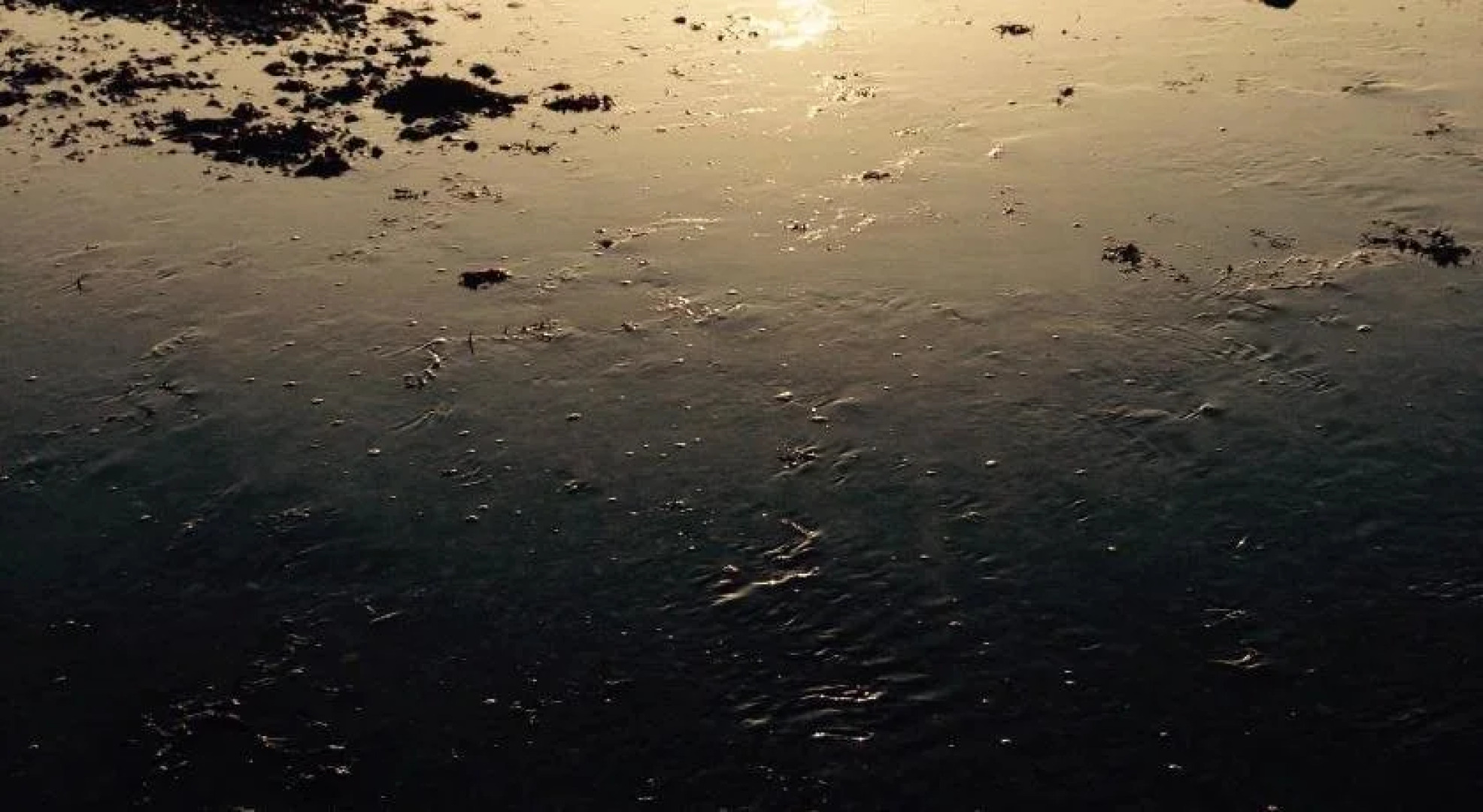 Mulberry Cottage B&B