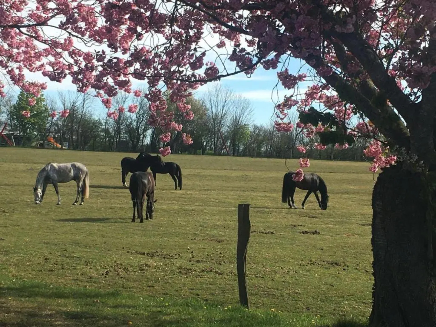 Wohnung-Felsenauster-im-Haus-Muschelgarten