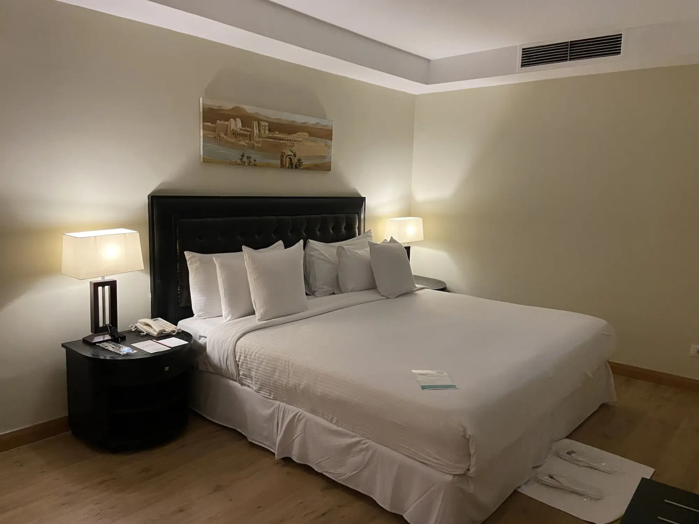 Отель Barcelo Cairo Pyramids