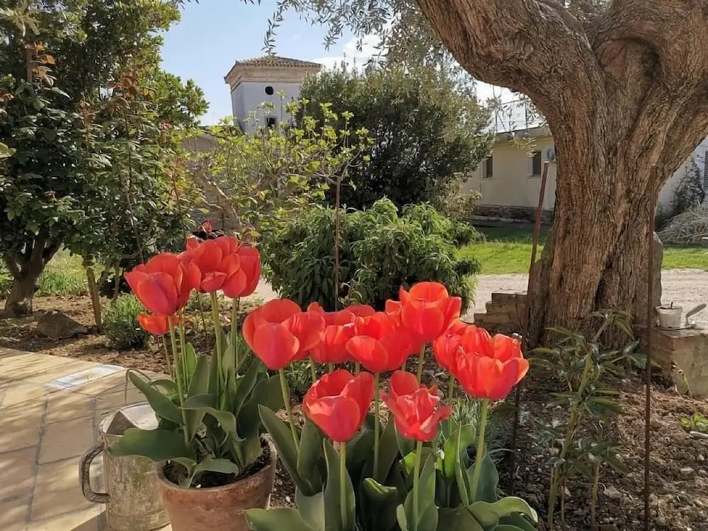 Agriturismo Torre Mannella
