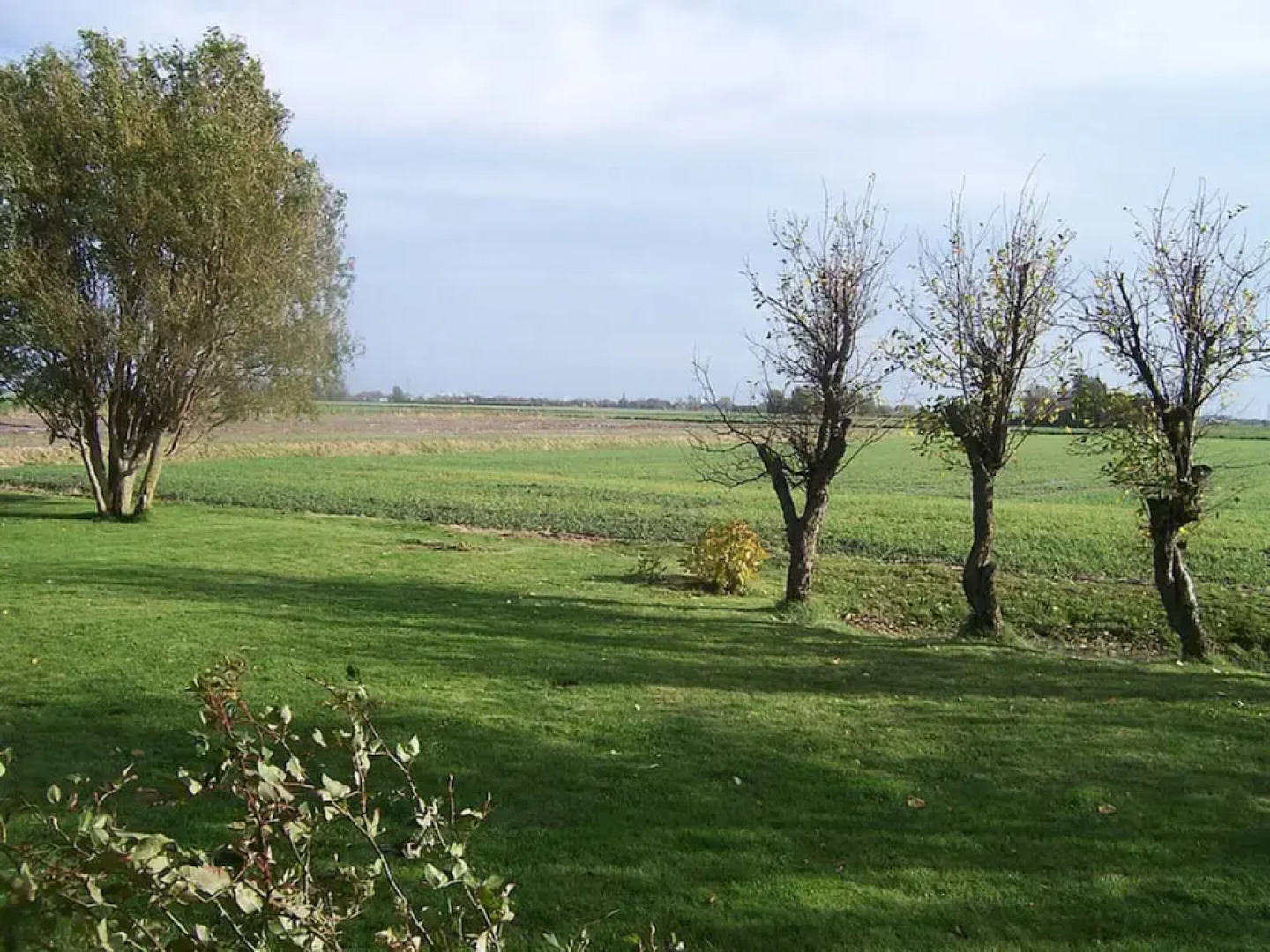 Thatched Roof House Kehl
