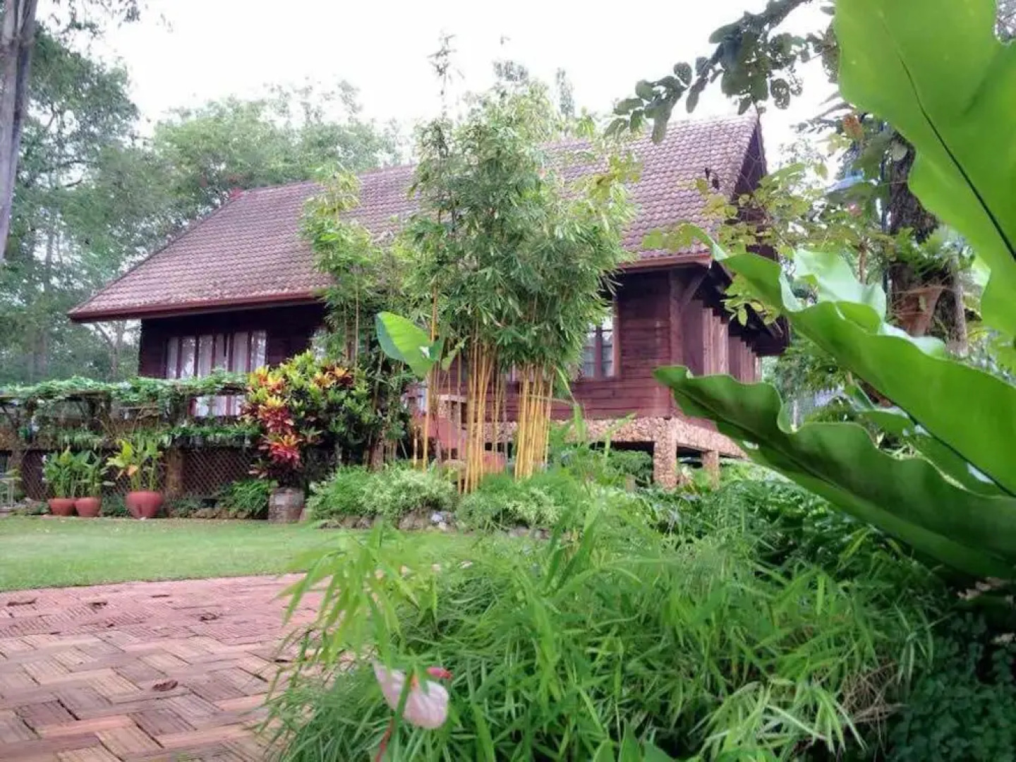 Donsak Orchid Resort