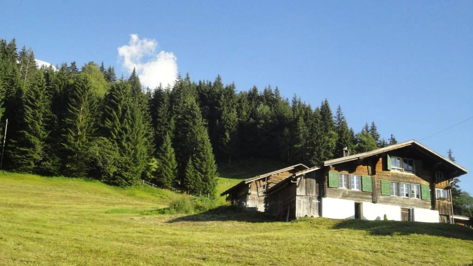Chalet Aelpli Bed and Breakfast