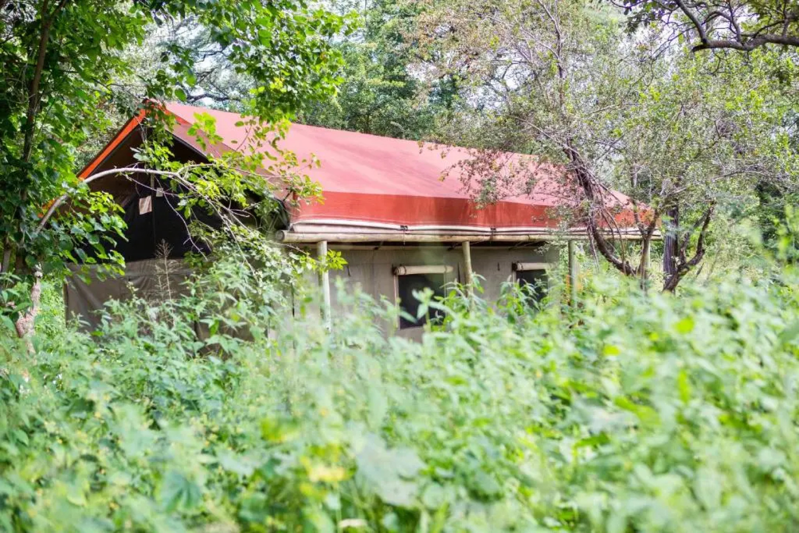 Tshima Bush Camp