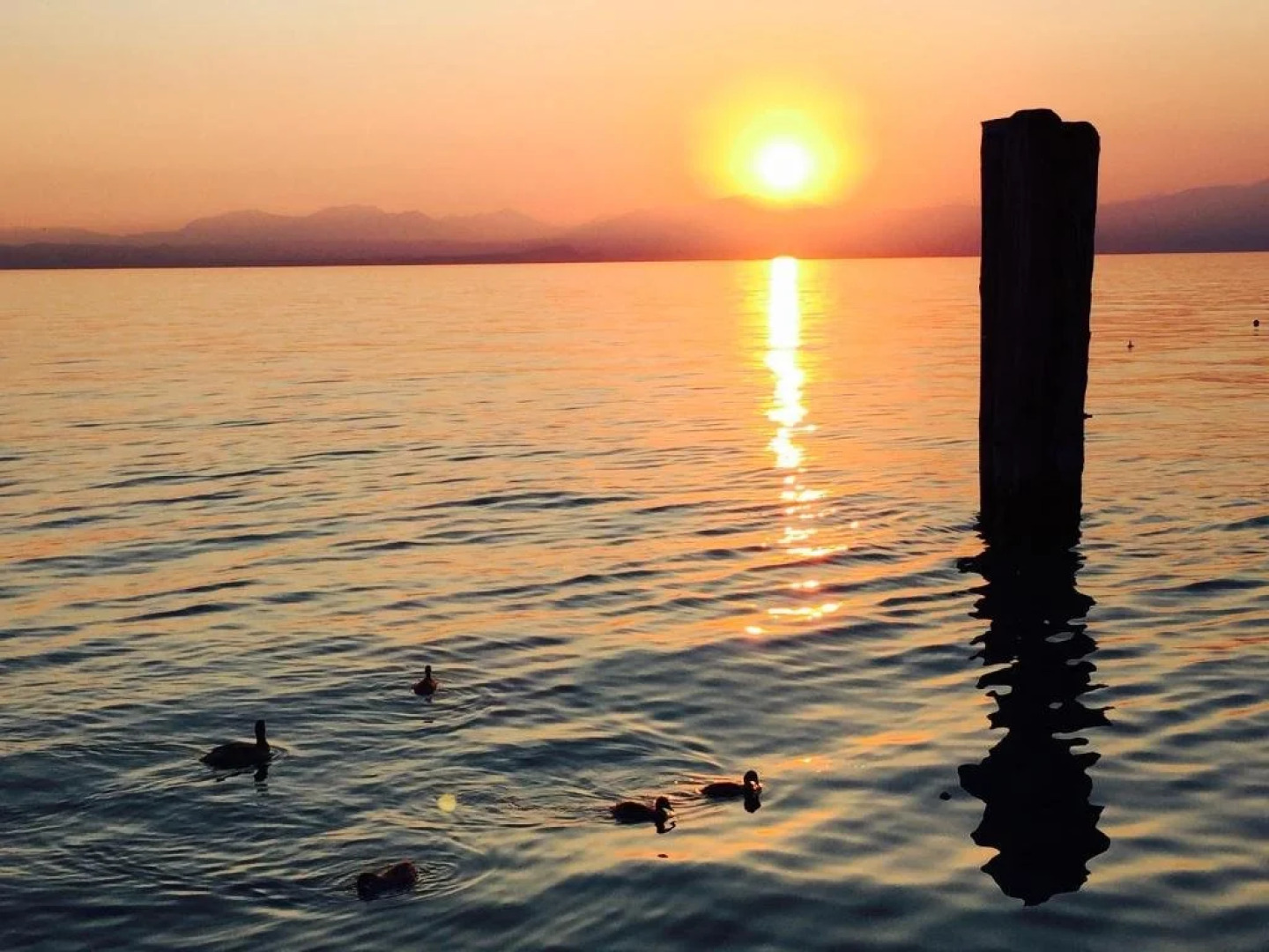 Camping Spiaggia DOro