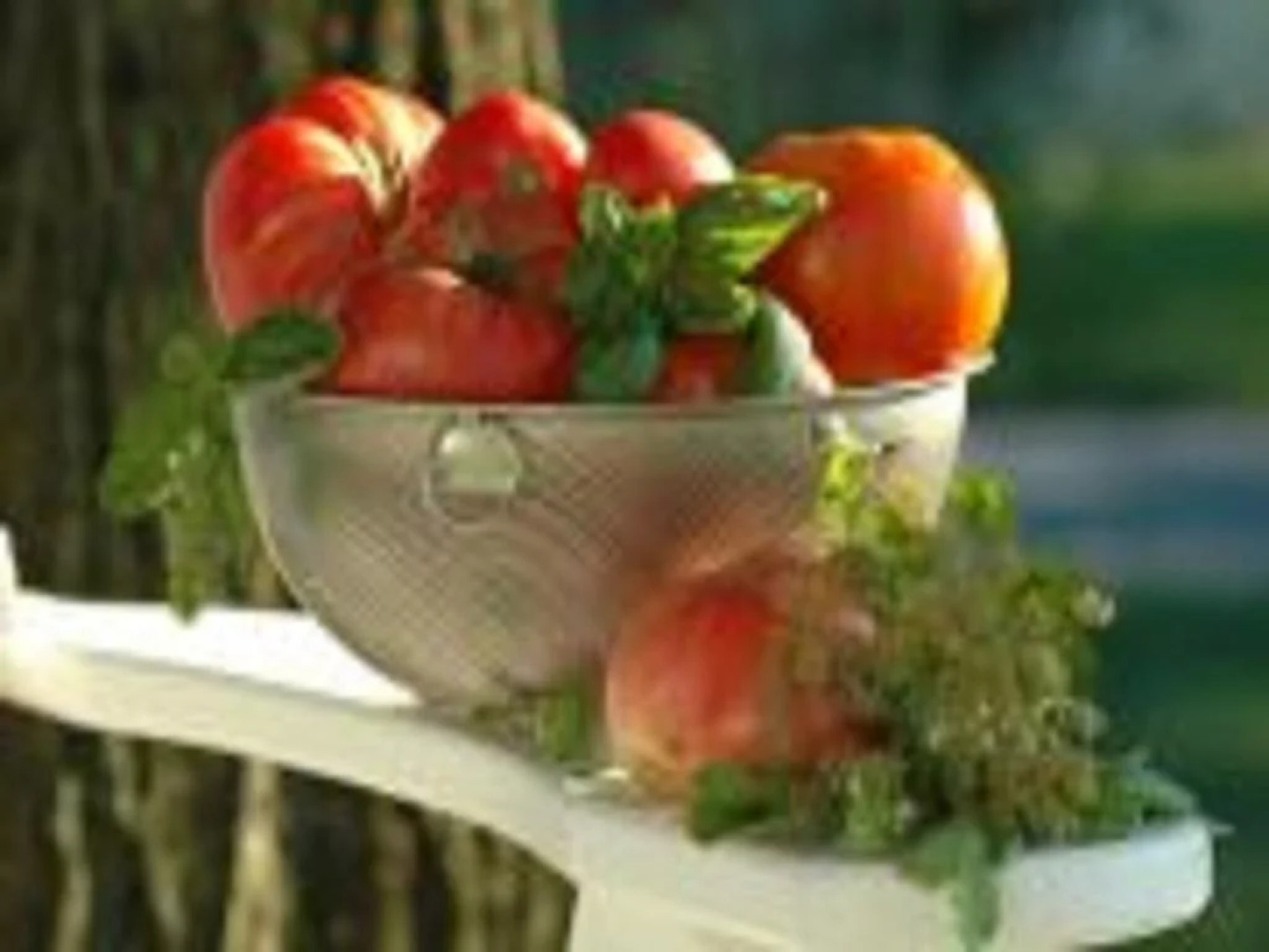 Inn at Huntingfield Creek