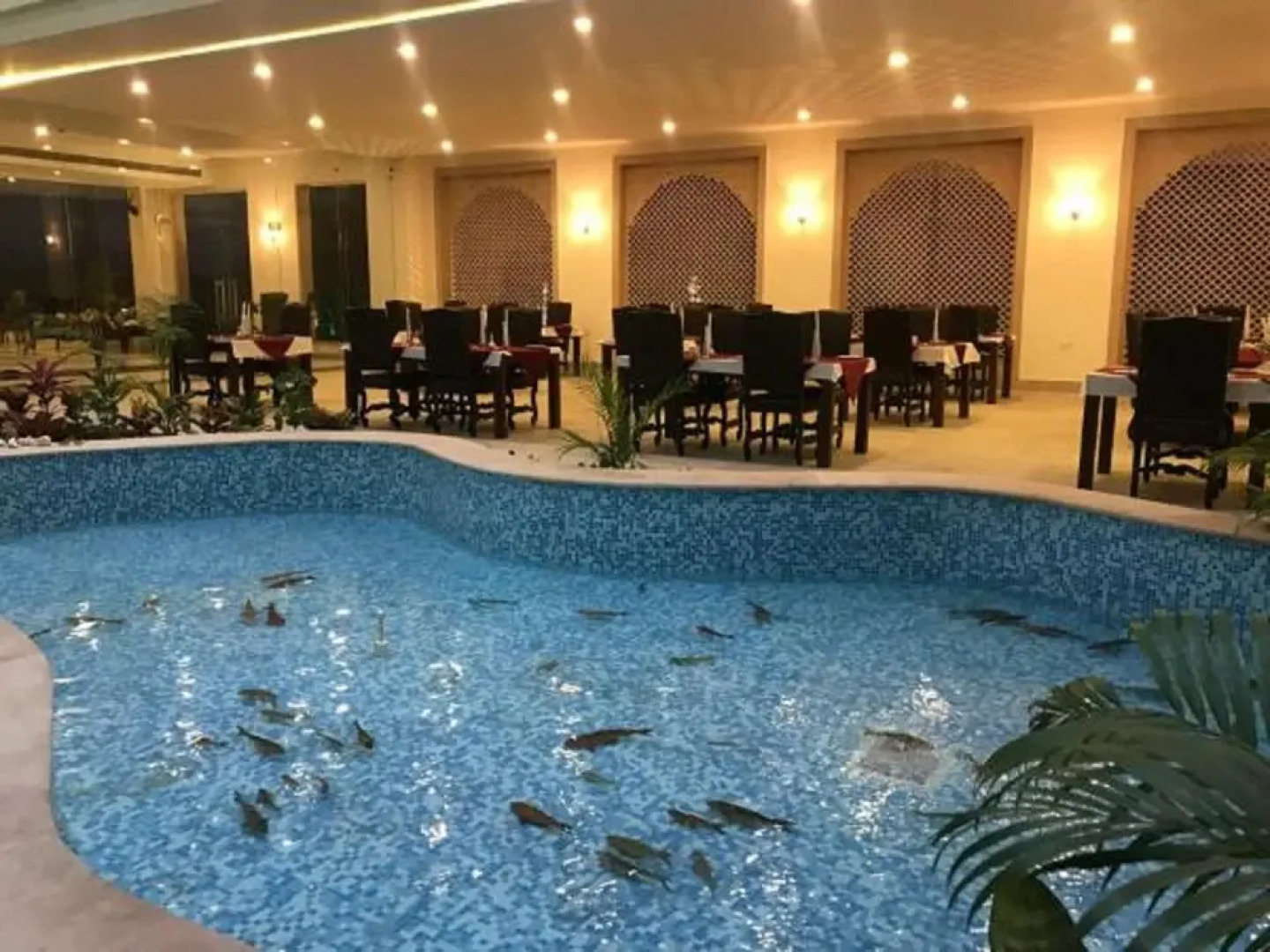 TGI Tiger Roar Resort