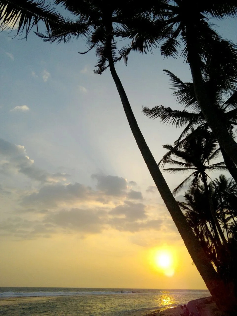 Rebirth Beach Resort