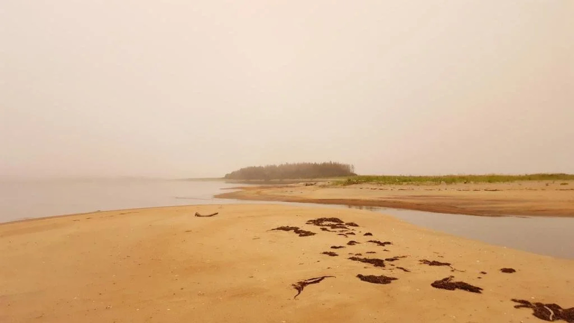 Gîte aux Bois-Verts
