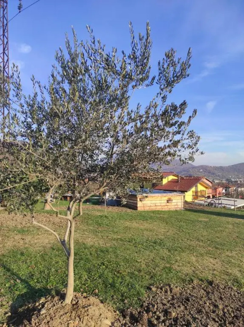 Agriturismo La Soglia Del Parco