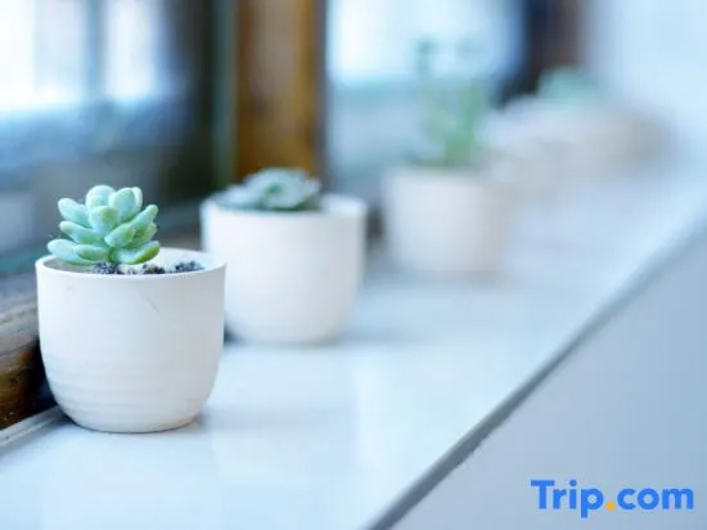 Yishu Hongtang Boutique Inn