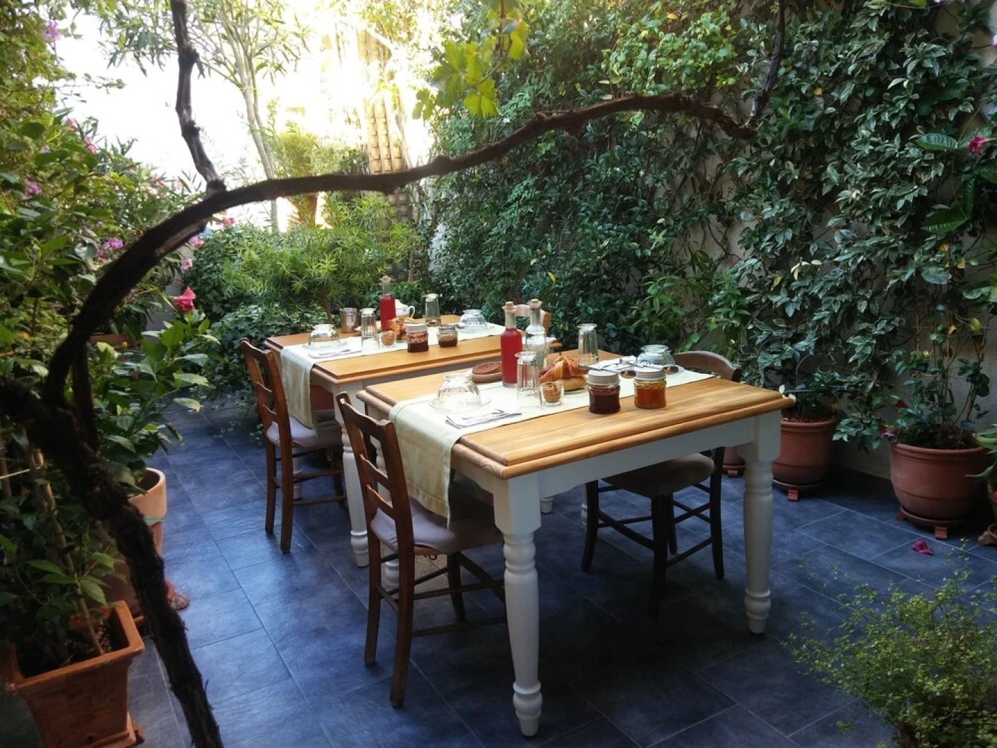 Les Chambres dHôtes de Magali