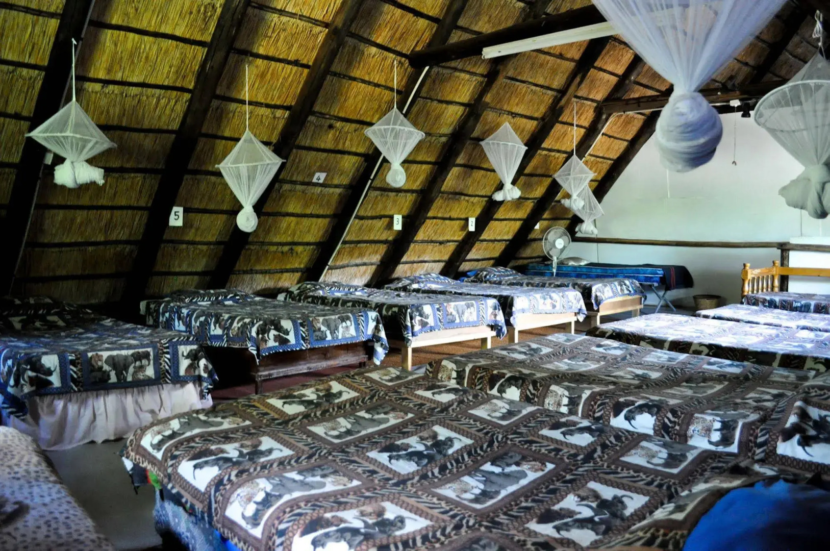 Victoria Falls Backpackers